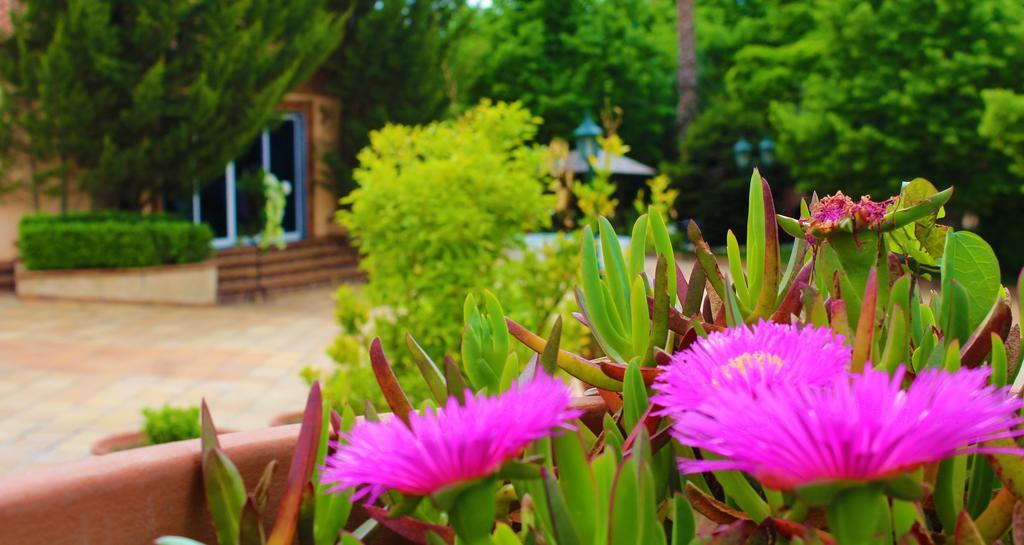 Alambique - Hotel Resort & Spa Fundão Kültér fotó