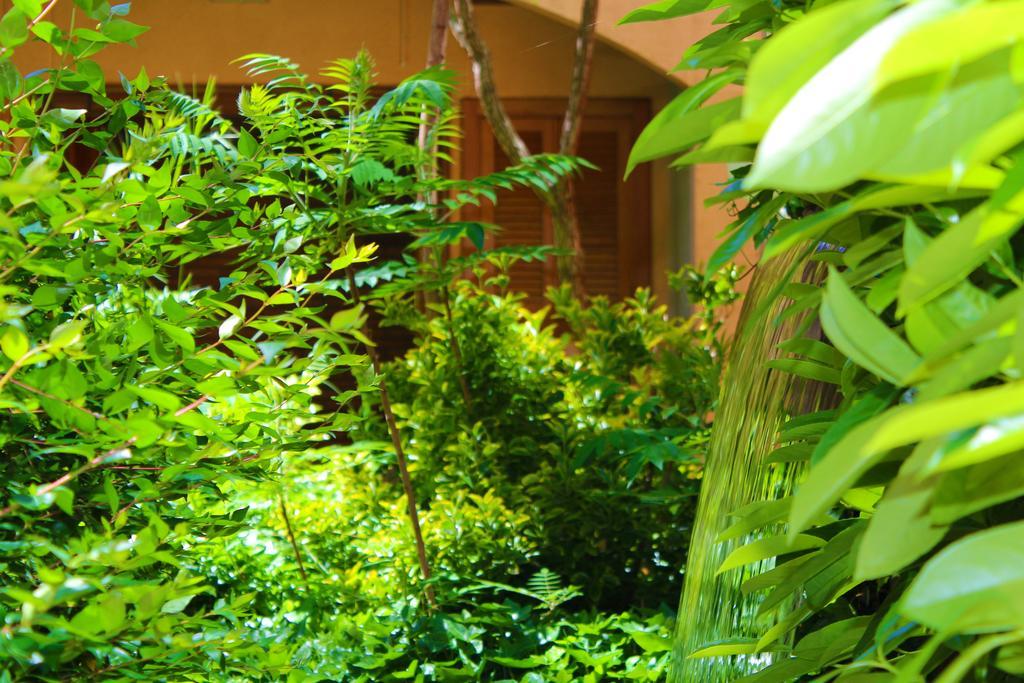 Alambique - Hotel Resort & Spa Fundão Kültér fotó